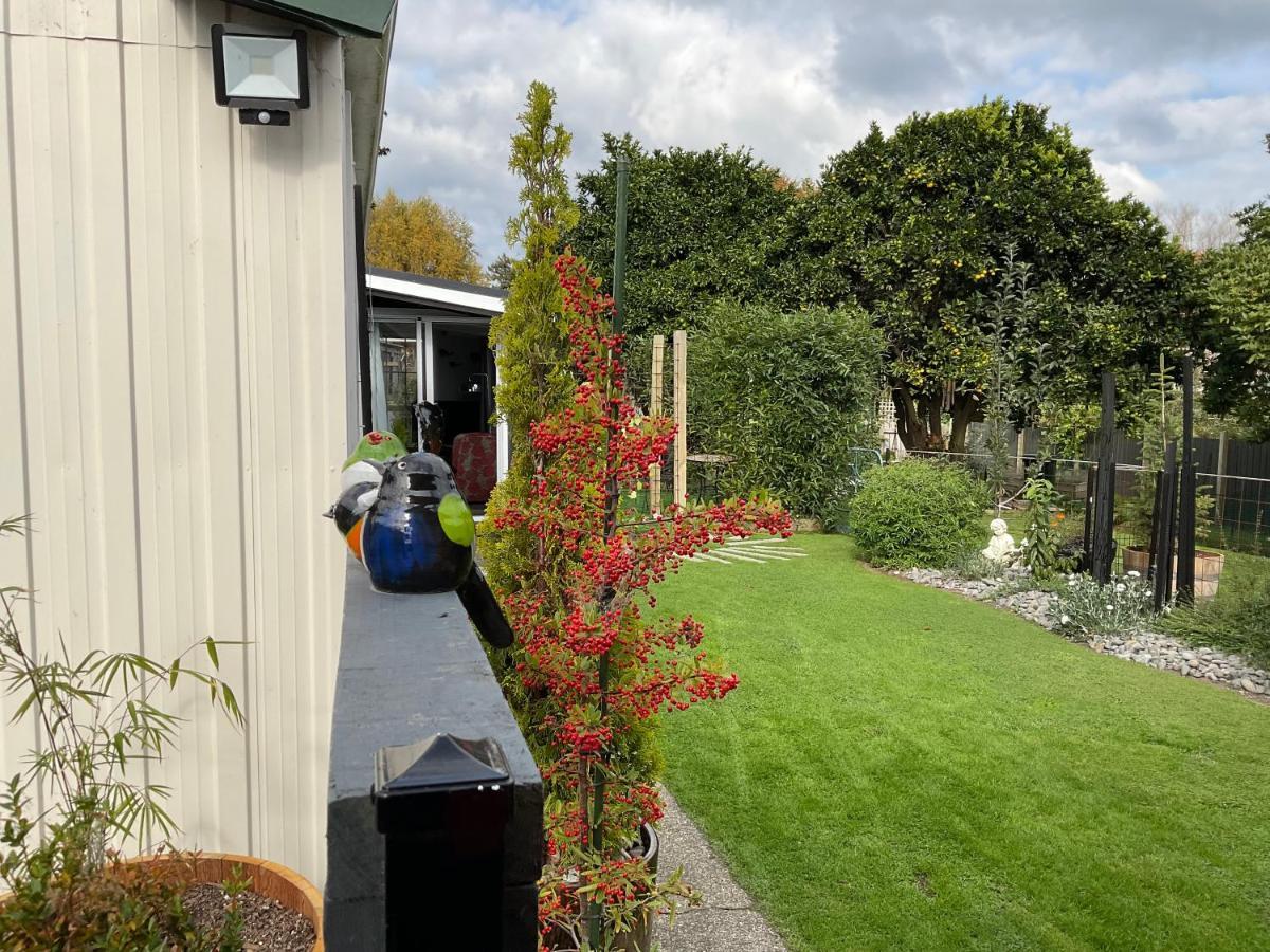 Orange Tree Cottage - Garden Hideaway Whanganui Kültér fotó